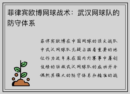 菲律宾欧博网球战术：武汉网球队的防守体系