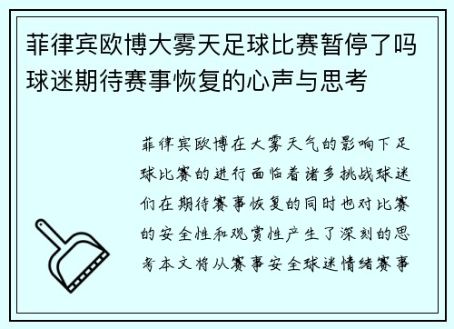 菲律宾欧博大雾天足球比赛暂停了吗球迷期待赛事恢复的心声与思考