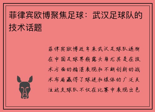 菲律宾欧博聚焦足球：武汉足球队的技术话题