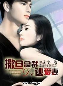 总裁的逃妻,逃妻的甜蜜逆袭