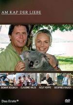 棕榈之风,探寻热带风情与自然和谐共生的奥秘